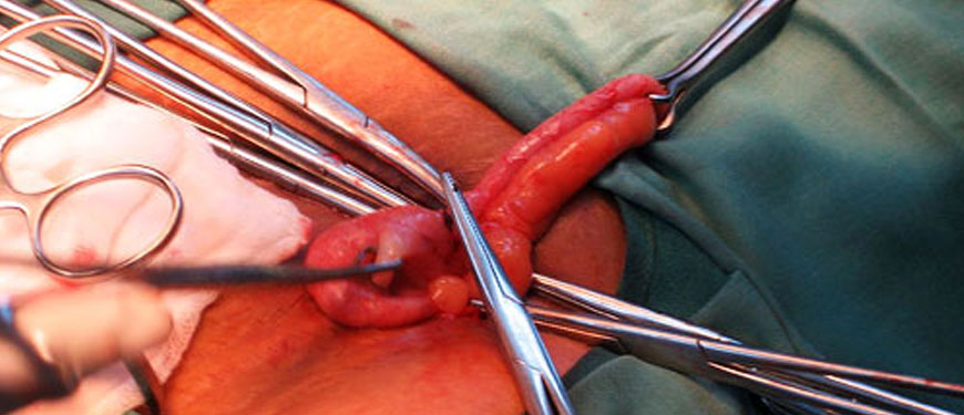 surgical-services-3