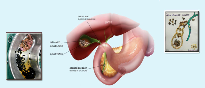 surgical-services-4