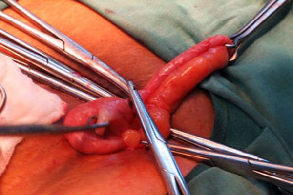 surgical-services-3 surgical-services-3