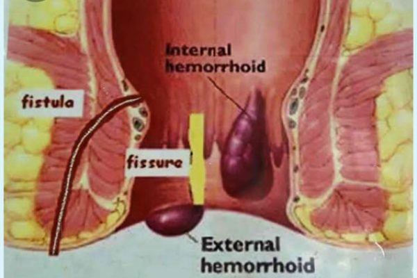 surgical-services-7 surgical-services-7